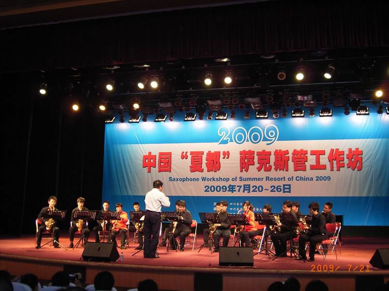 室内乐团演出